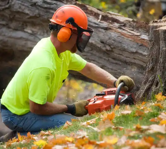 tree services McGill